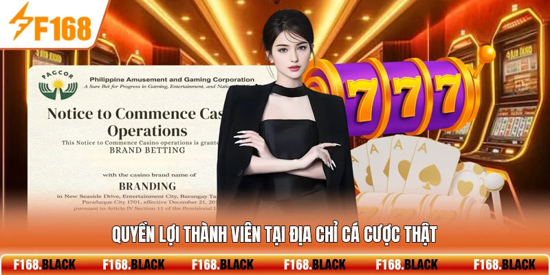 Quyền lợi thành viên tại địa chỉ cá cược thật